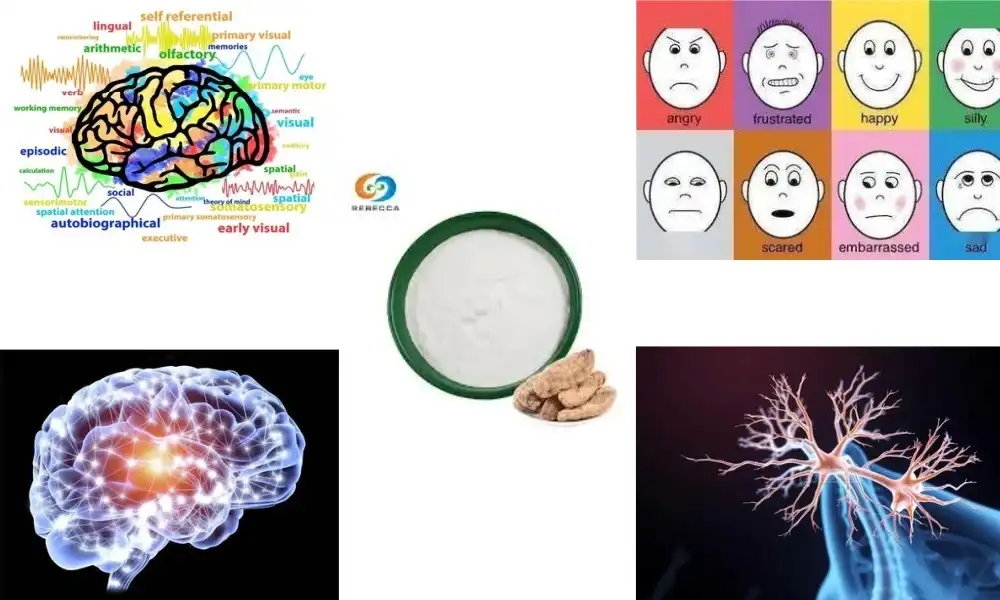 What is gastrodin powder? What is gastrodin powder?